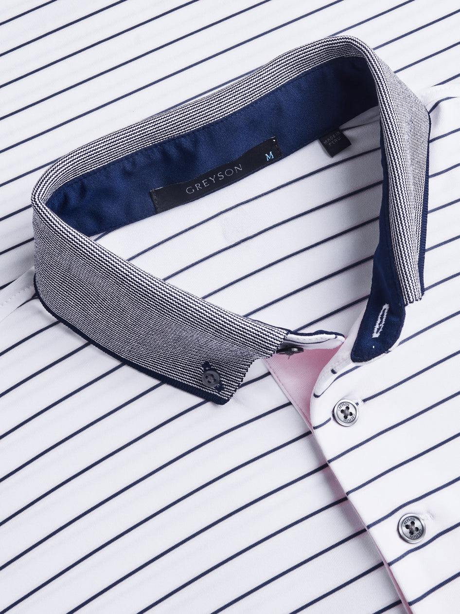 Greyson Clothiers Shadmoor Polo in ROSEMARY