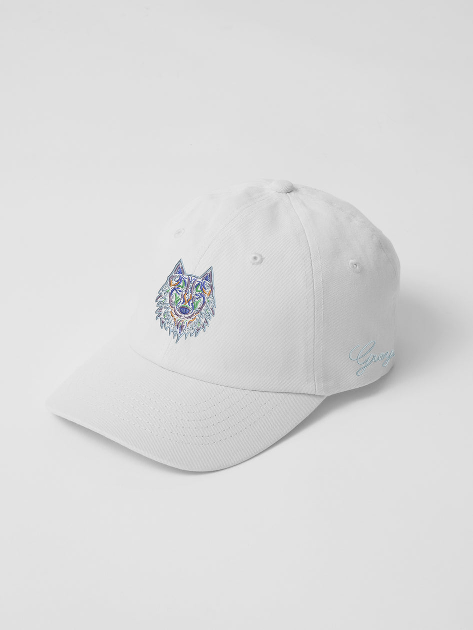 Greyson Clothiers Youth Rainbow Wolf Hat in ARCTIC