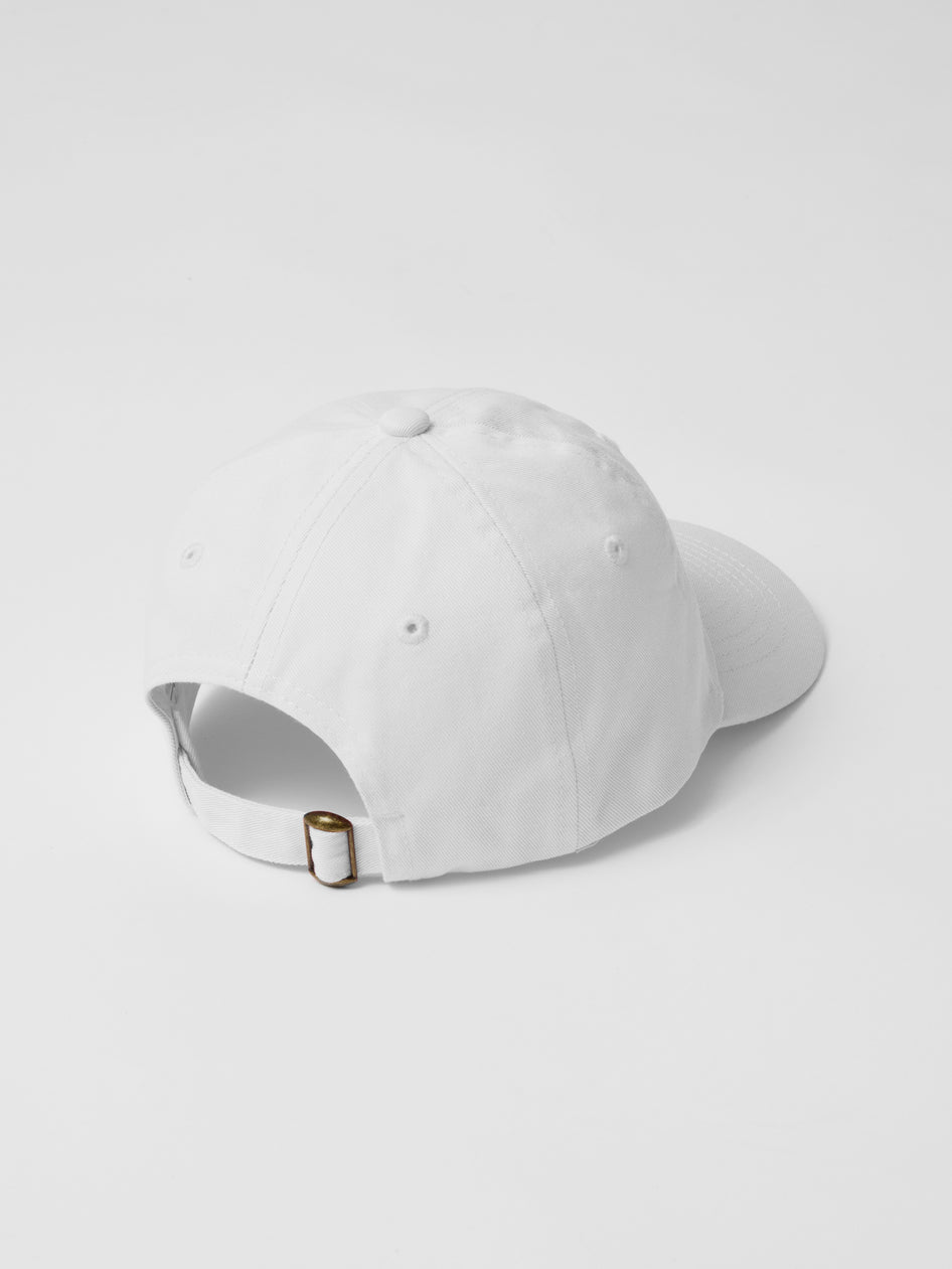 Greyson Clothiers Youth Rainbow Wolf Hat in ARCTIC