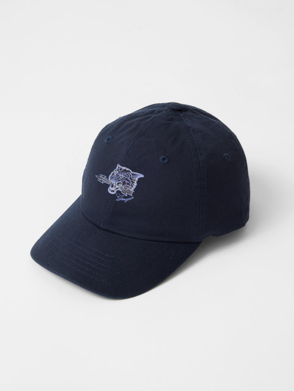 Greyson Clothiers Youth Arrow Wolf Hat in MALTESE BLUE