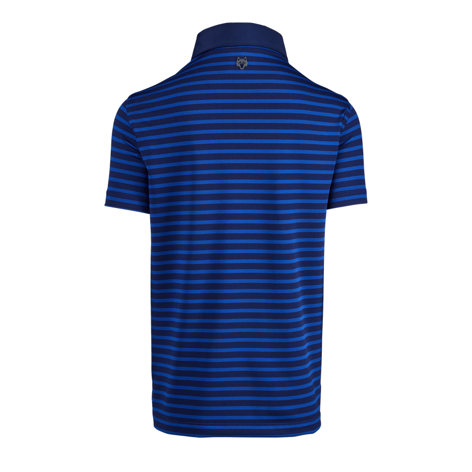 Greyson Clothiers Boy's Santa Ana Polo