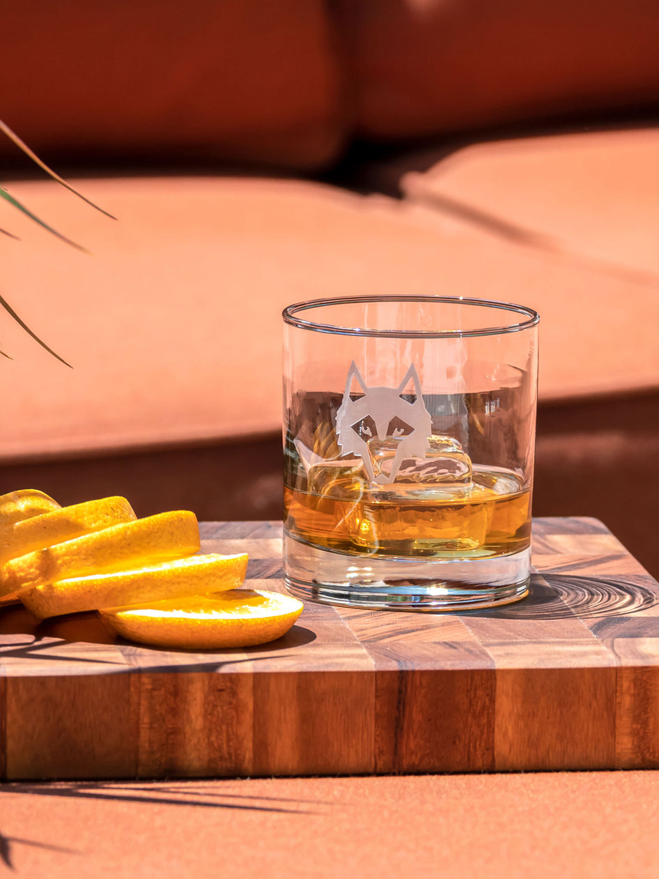 Greyson Clothiers Icon On The Rocks Glass Set in CLEAR